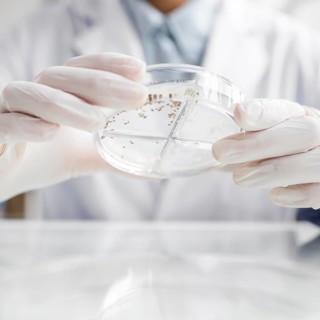 Researcher with petri dish biotechnology laboratory