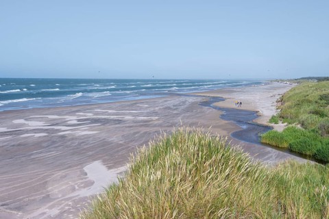 Dunes and sandy beach by the sea
