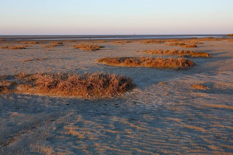 View into the mudflats to the north on the island of Minsener Oog
