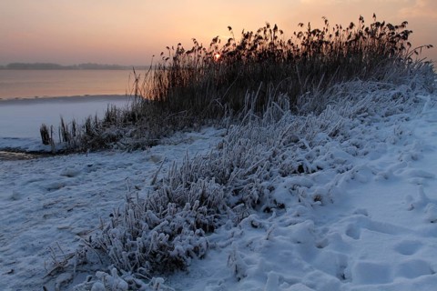 Weser beach in winter