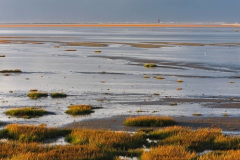 View into the mudflats to the north on the island of Minsener Oog