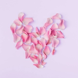 Heart shape from roses petals
