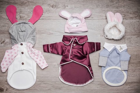 Set cute dog wear with caps
