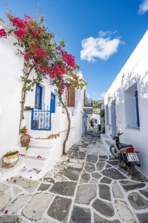 White Cycladic houses with blue doors and windows and flower pots with red bougainvillea
