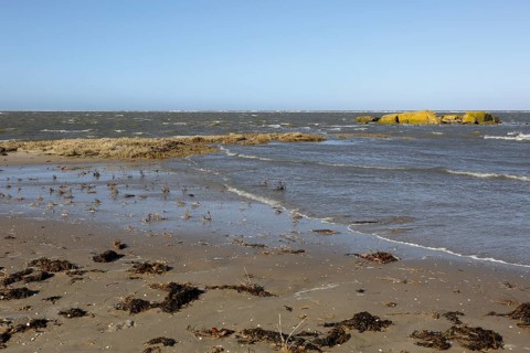 Remains of a World War II bunker on the island of Minsener Oog