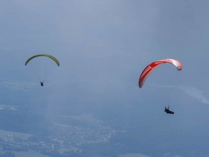 Paraglider