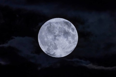 The full moon fights its way through the cloudy sky in the evening in the Rhine-Main area. It is already the second one in August '23 - that doesn't happen often. The so-called Blue Moon or Blue Super...