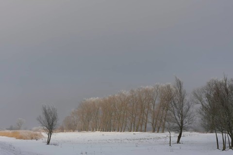 Winter on the Weser