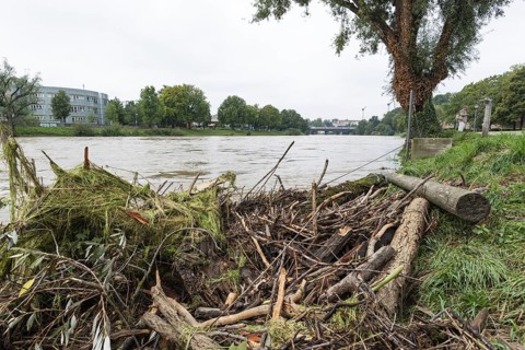 Flood