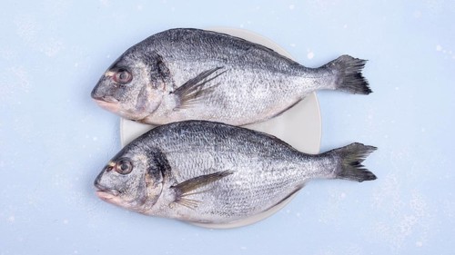 Fresh uncooked seafood fish