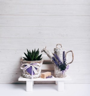 Haworthia attenuata sack pot water can white table against wooden backdrop