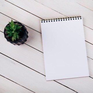 Houseplant near blank spiral notepad white wooden