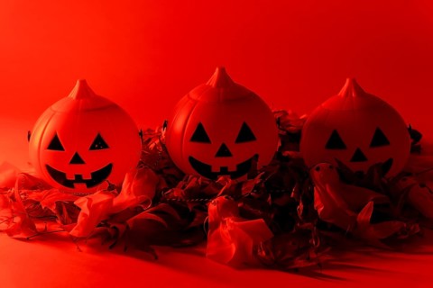 Halloween pumpkins on a red background