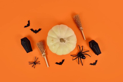 Halloween arrangement with white pumpkin