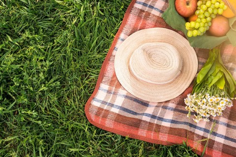 Picnic blanket with fruits hat