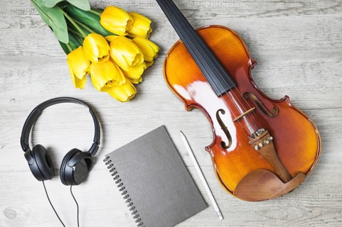 Overhead view tulips diary pencil violin wooden background