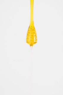 Close up honey dripping from dipper white background