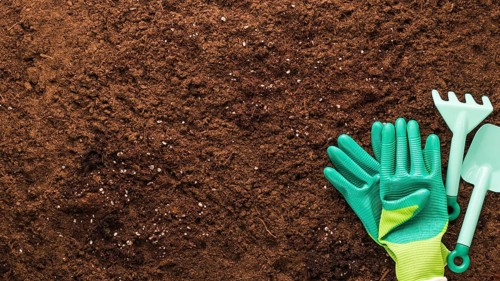 Flat lay gardening tools with copyspace