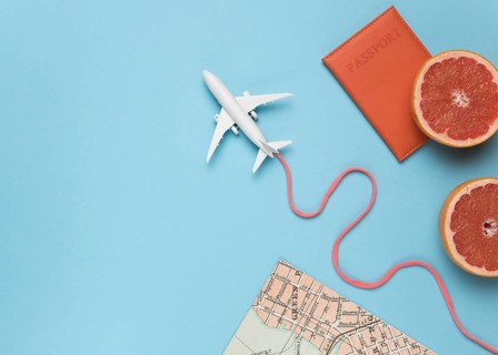 Fruit maps small plane
