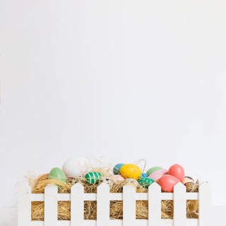 Eggs hay fence