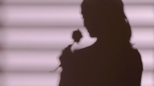 Shadow woman holding rose