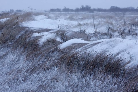 Snow-covered dunes on the island of Minsener Oog