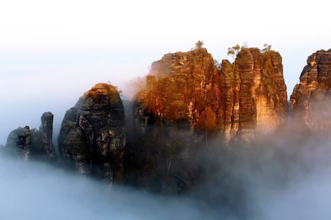 Autumn fog at sunrise