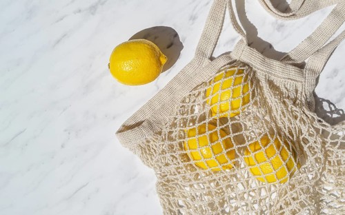 Top view lemons crochet net bag