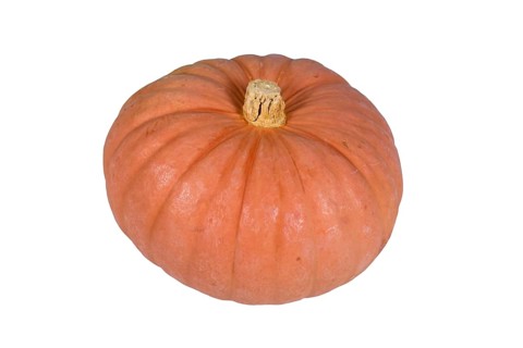 Pastel orange colored 'Miss Sophie Pink' Halloween pumpkin