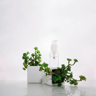 Bottle lotion potted plant