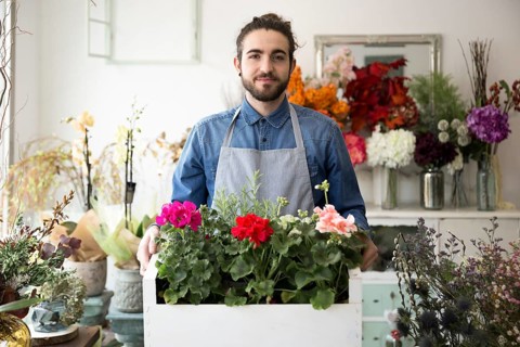 Portrait male florist holding colorful hydrangea flowers crate