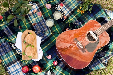 Top view picnic with acoustic guitar