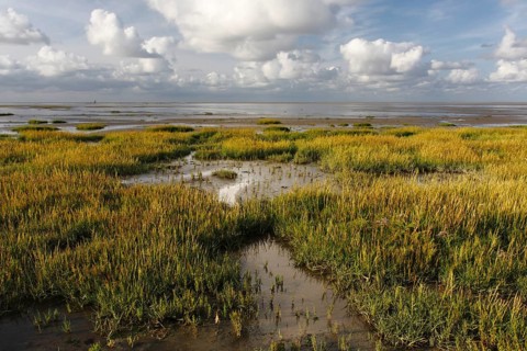 View into the mudflats to the north on the island of Minsener Oog