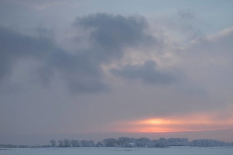 Winter in the Wesermarsch