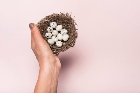 Person holding nest with quail eggs