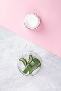 Flat lay cream aloe vera slices