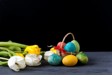 Tulips eggs black