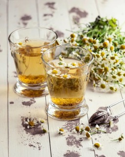 Chamomile tea cups plants