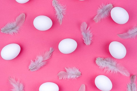 White chicken eggs with feathers table