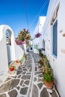 White Cycladic houses with flower pots and purple bougainvillea