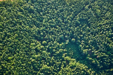 Aerial view over the forests near Woerth an der Donau