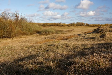 In the dunes of the island of Minsener Oog