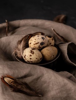 High angle quail eggs bowl with feathers
