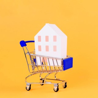 House model inside shopping cart against yellow backdrop