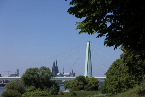Rhine Bridge