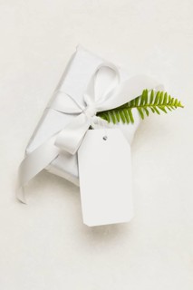 Close up present box empty tag green leaf isolated white background