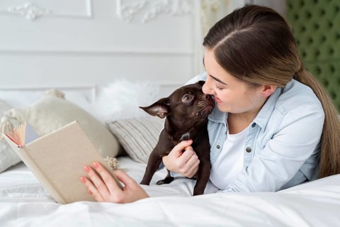 Close up girl reading bed with cute dog