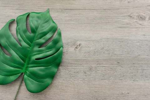 Wooden background with big green leaf