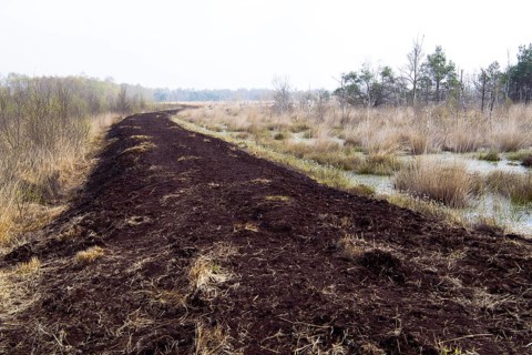 Moor protection through rewetting