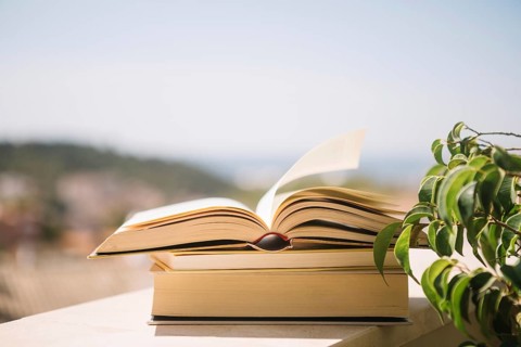 Books ledge